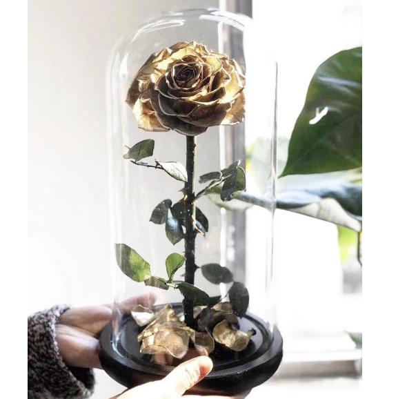 preserved roses