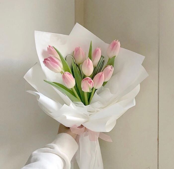 Tulip Love- Fresh Flowers