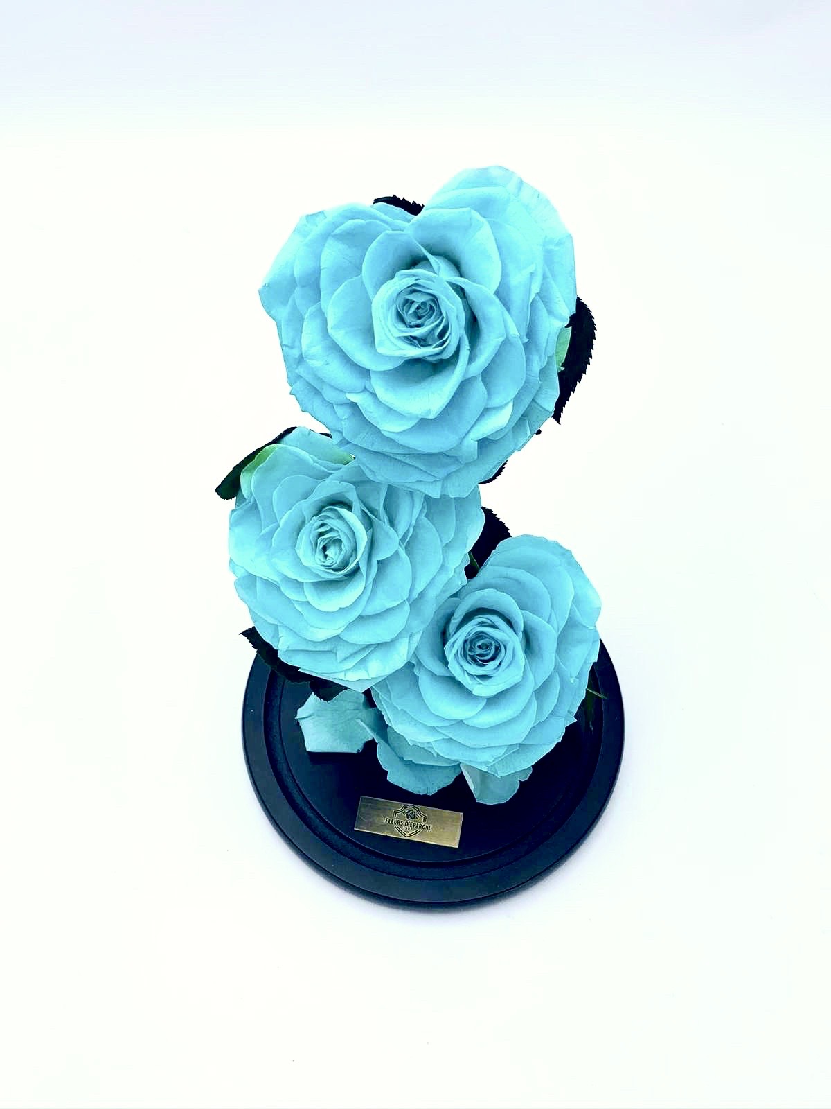 Eternity 3-in-1 Heart Rose in Enchanted Glass Dome
