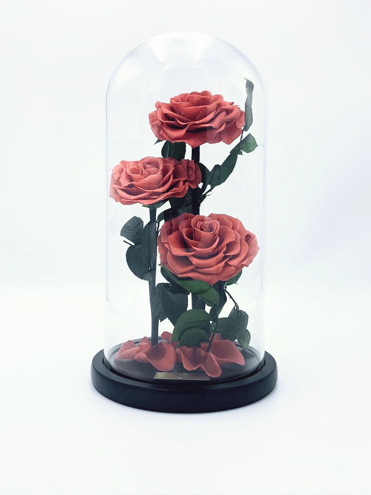 Eternity 3-in-1 Heart Rose in Enchanted Glass Dome