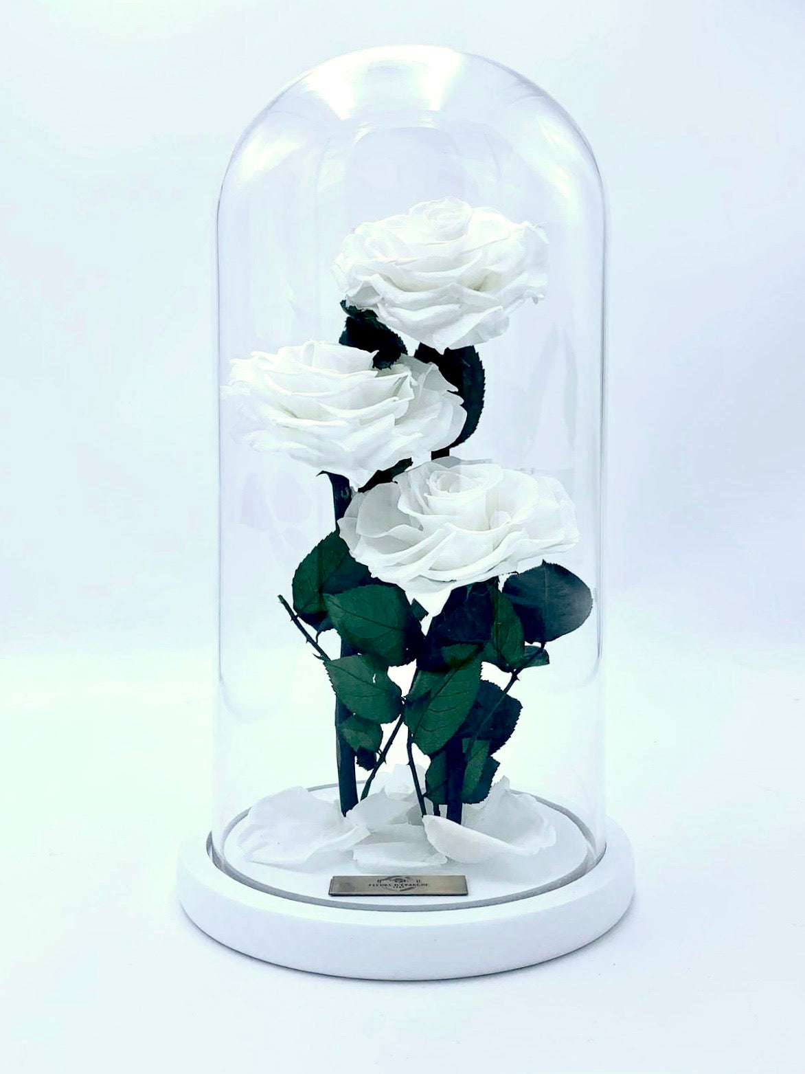 Eternity 3-in-1 Heart Rose in Enchanted Glass Dome