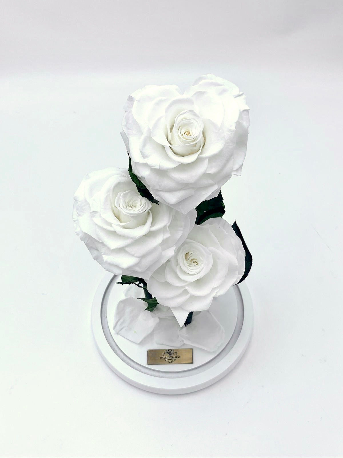 Eternity 3-in-1 Heart Rose in Enchanted Glass Dome