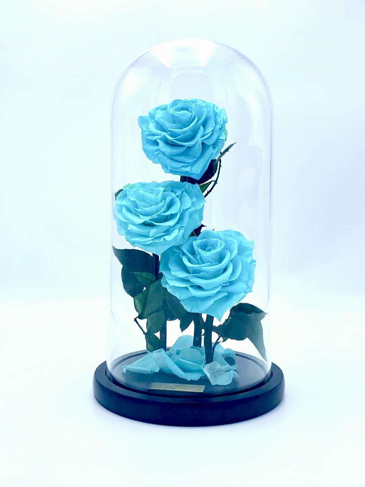 Eternity 3-in-1 Heart Rose in Enchanted Glass Dome