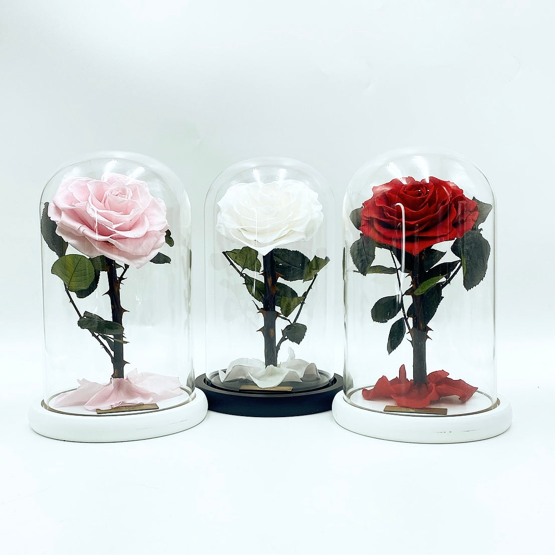 Medium Enchanted Glass Dome
