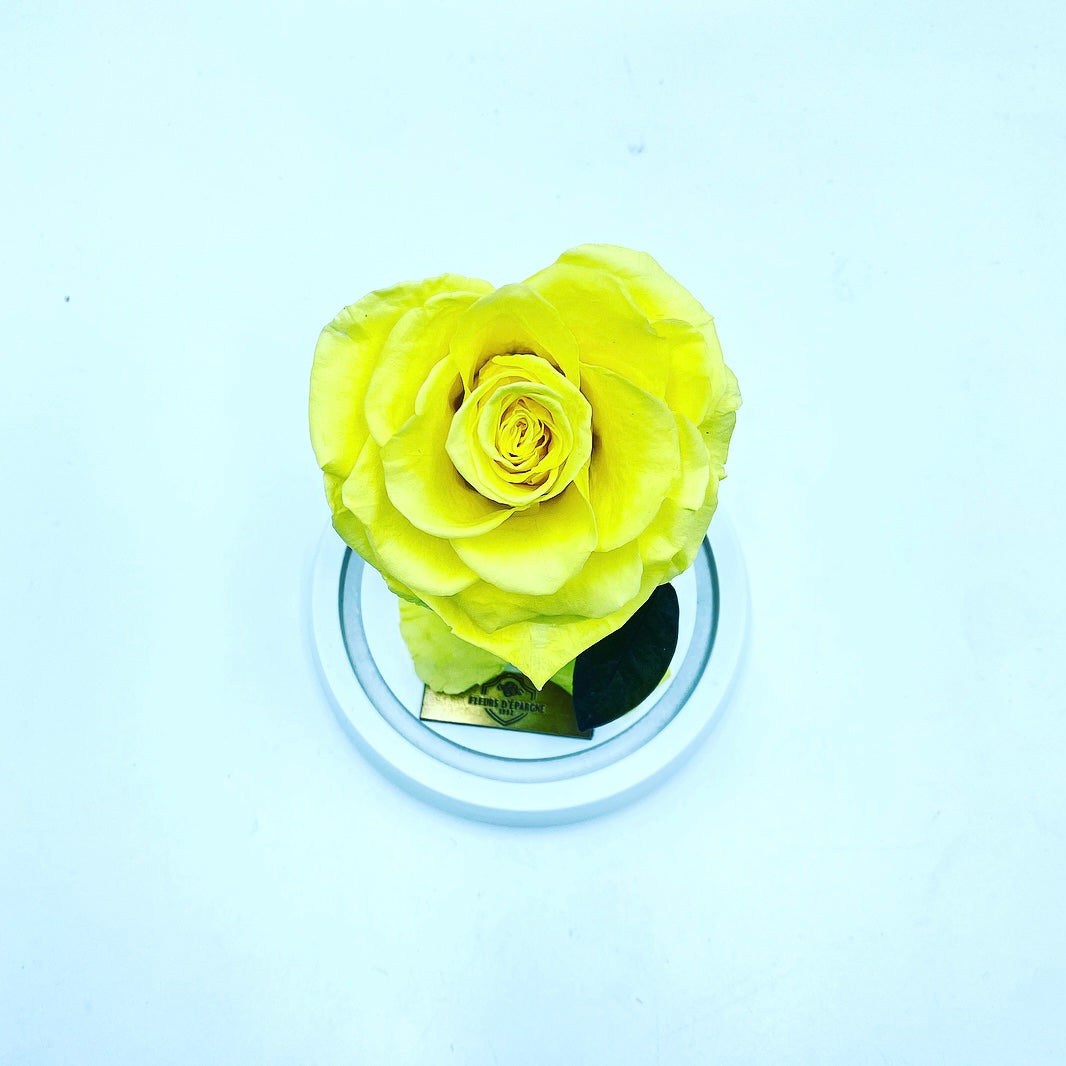 Medium Enchanted Glass Dome - Heart Rose