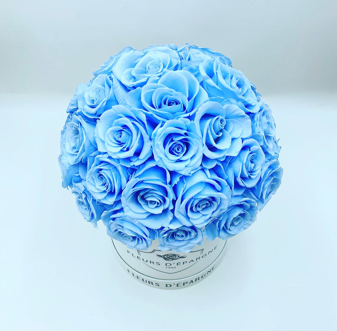 Superdome in Classic Rose Bucket