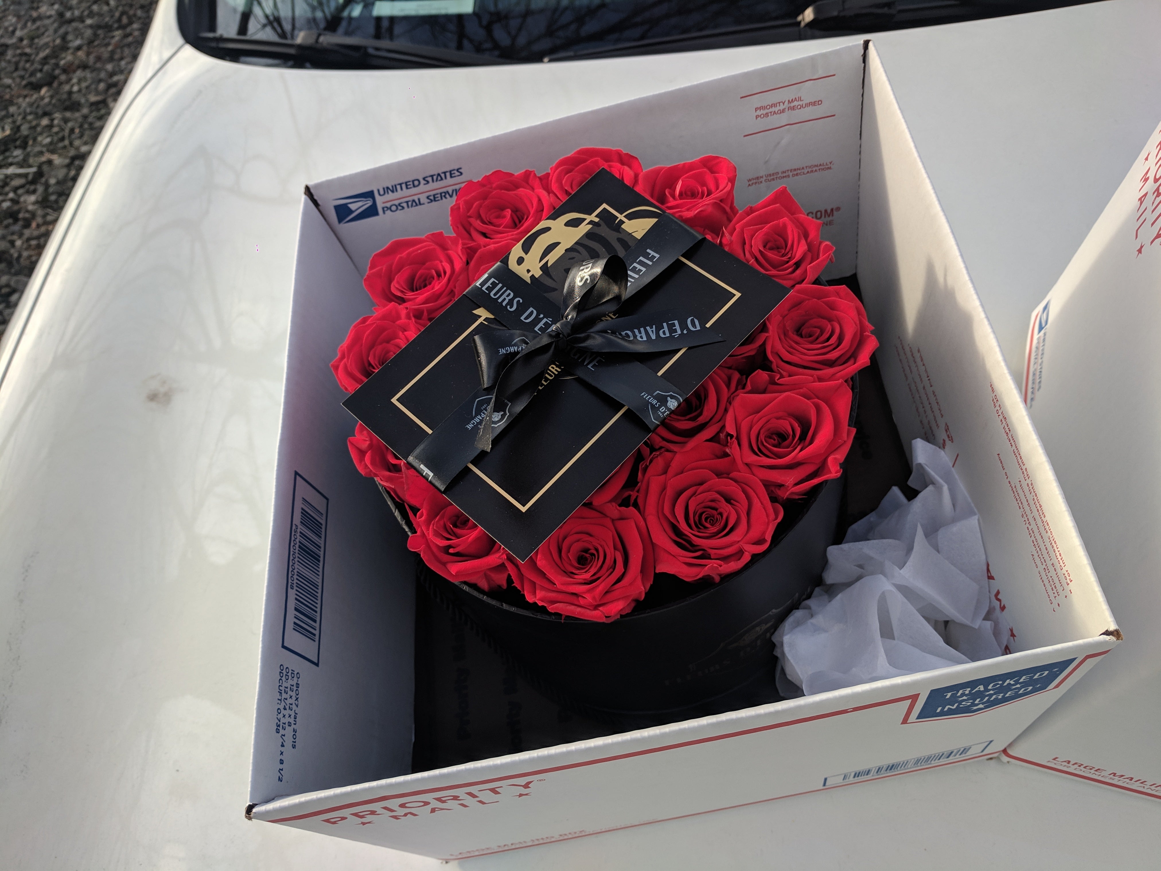Elegance in Prestige Rose Bucket