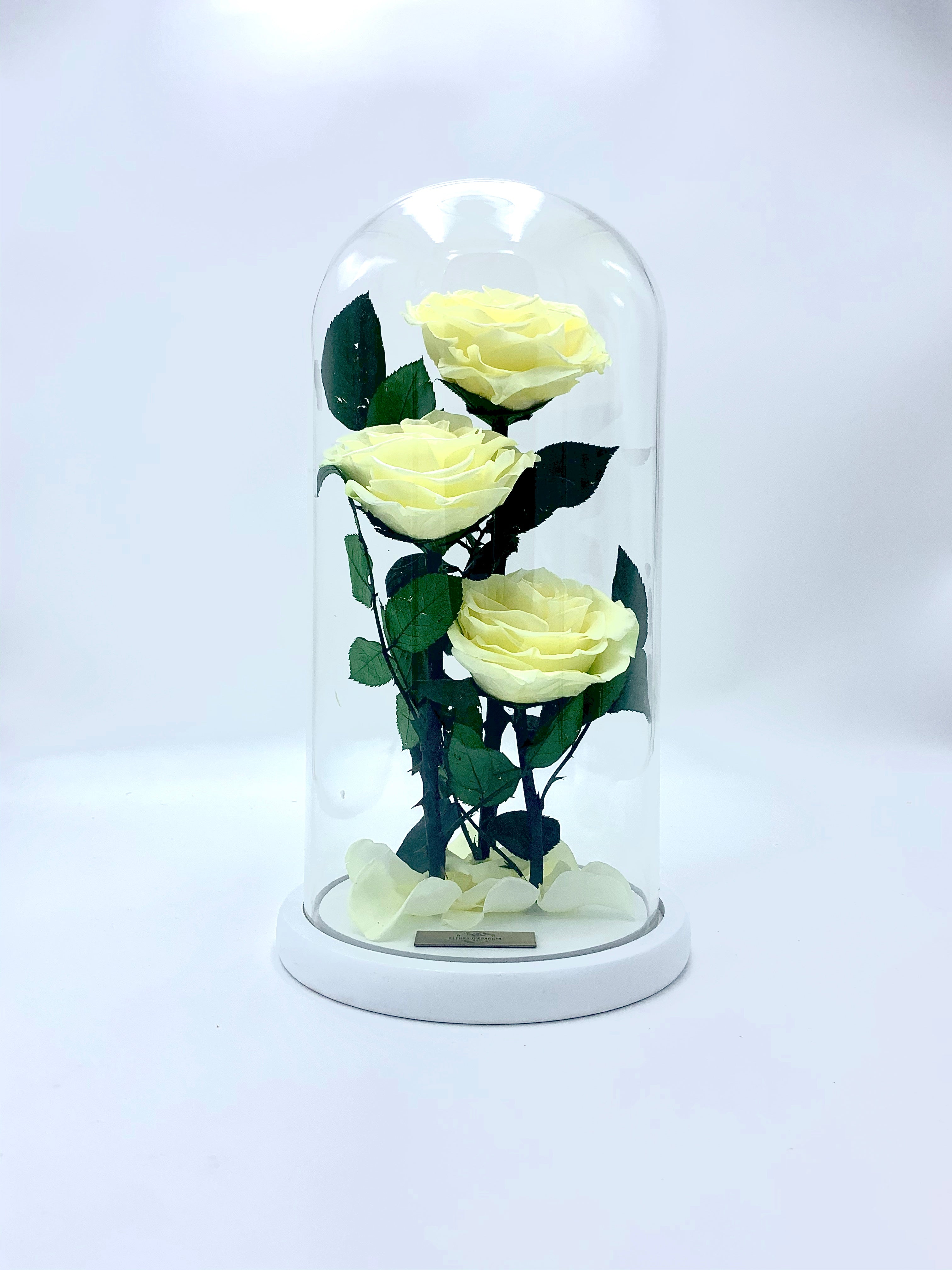 Eternity 3-in-1 Heart Rose in Enchanted Glass Dome