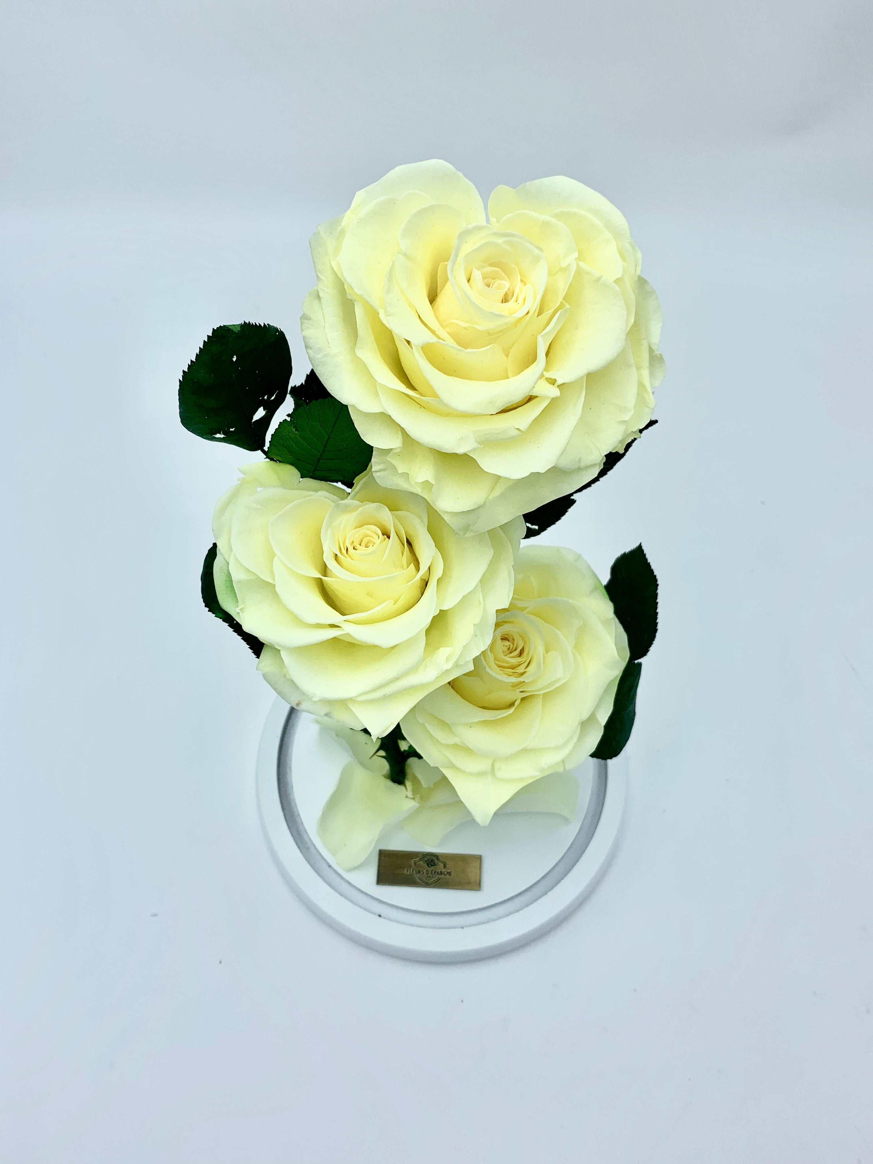 Eternity 3-in-1 Heart Rose in Enchanted Glass Dome
