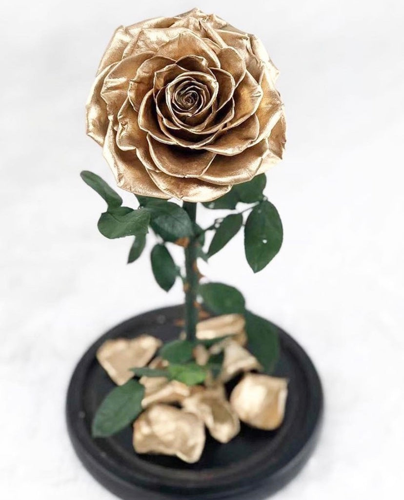 Eternity Rose in Enchanted Glass Dome