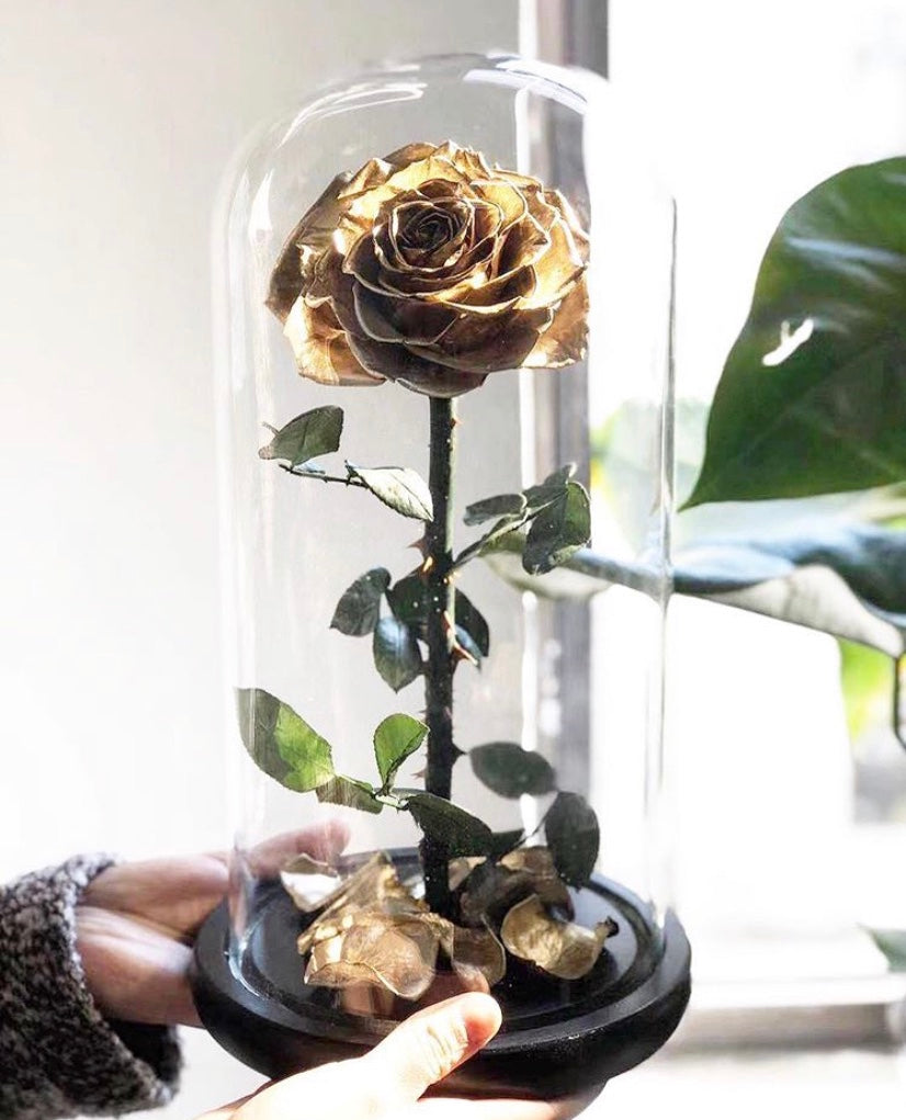Eternity Rose in Enchanted Glass Dome