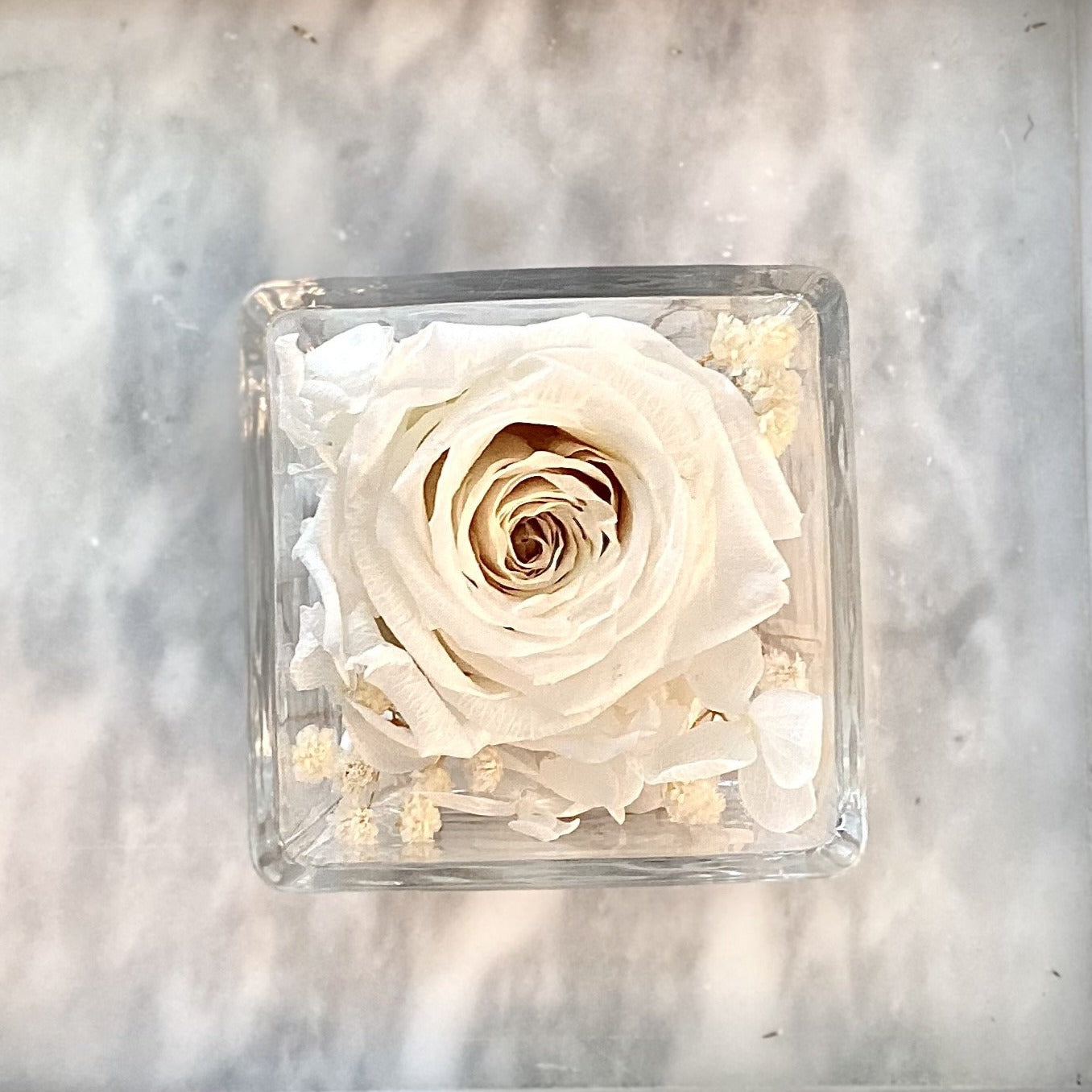 One Love in Square Glass Vase