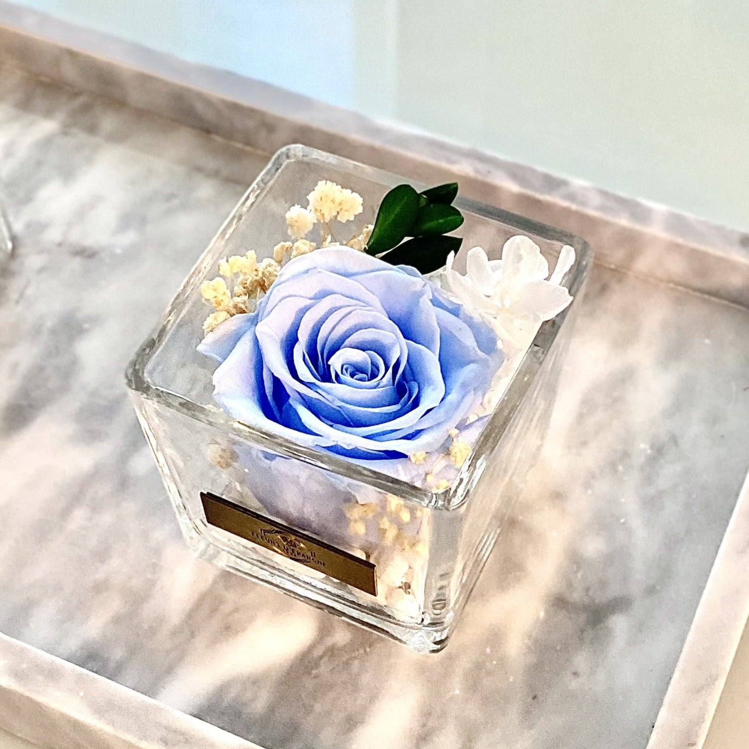 One Love in Square Glass Vase