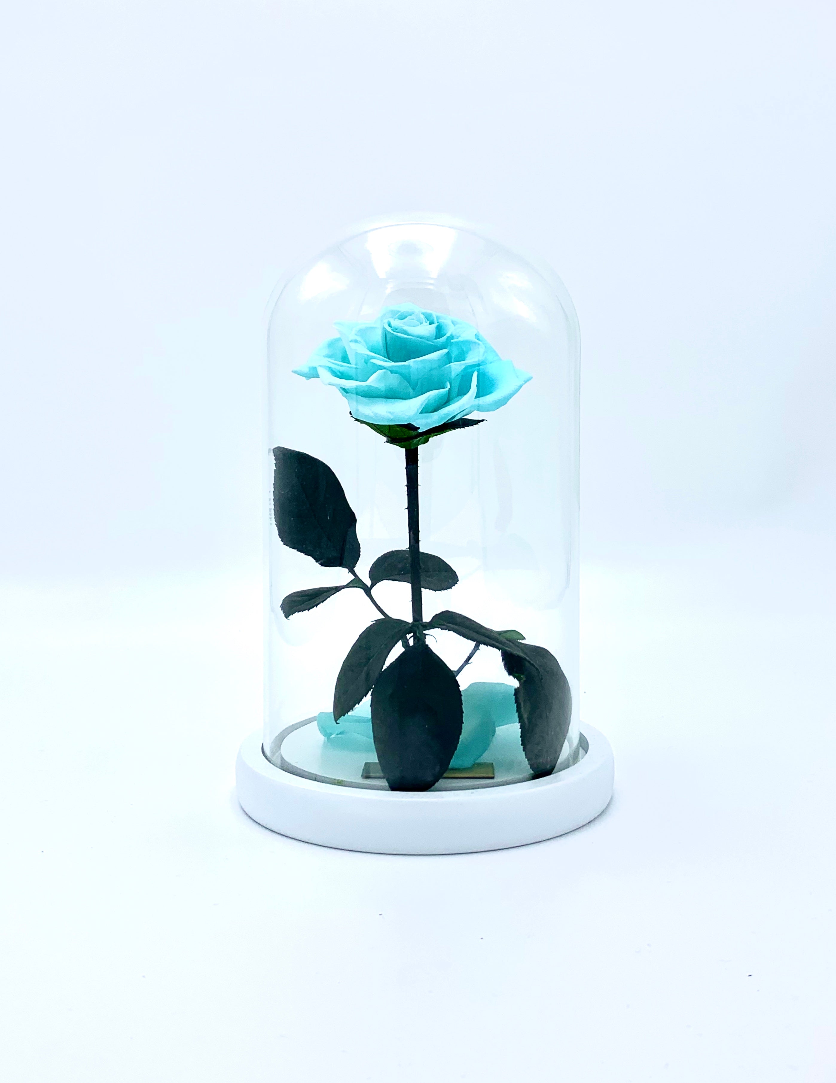 Medium Enchanted Glass Dome