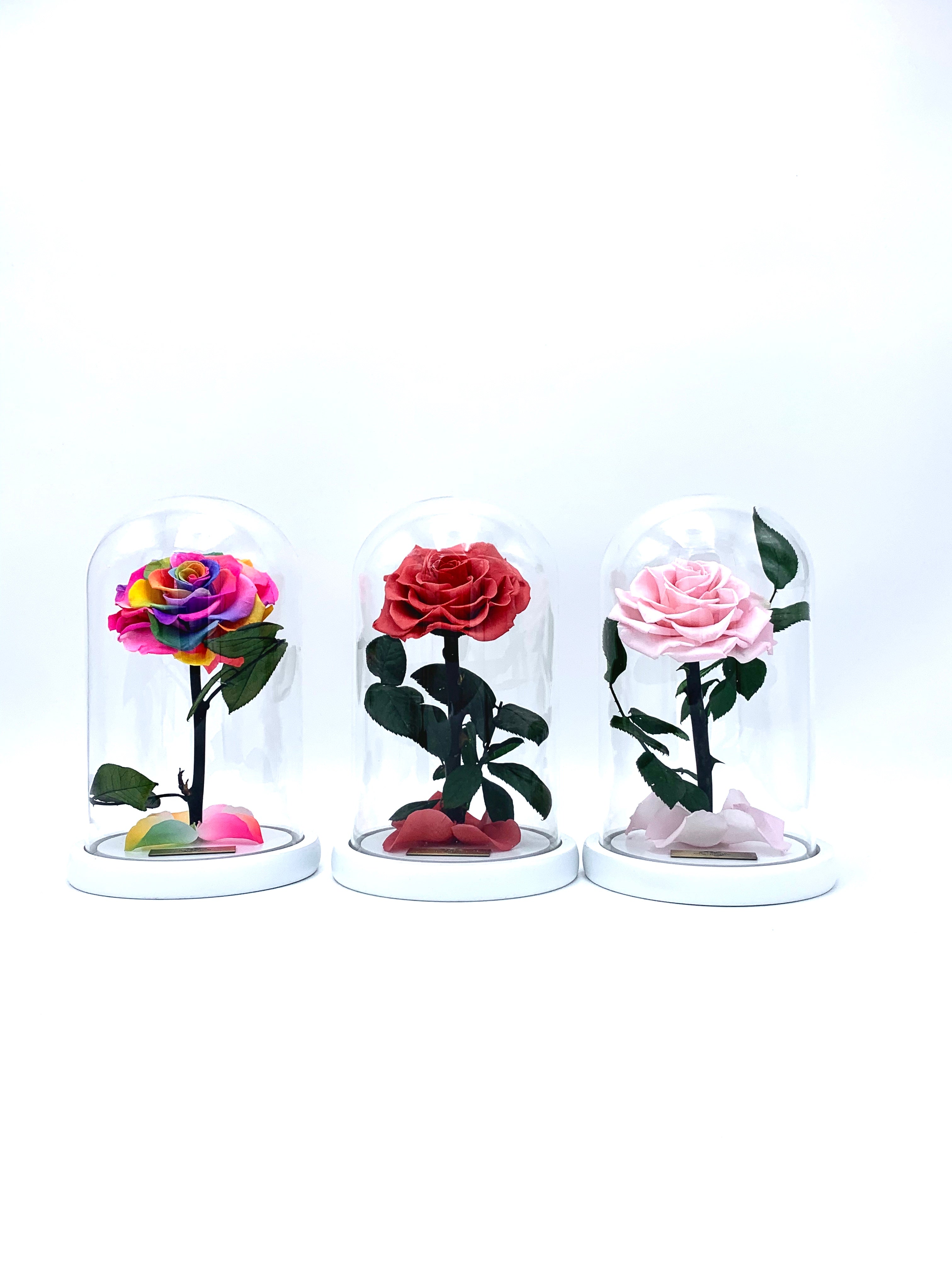 Medium Enchanted Glass Dome