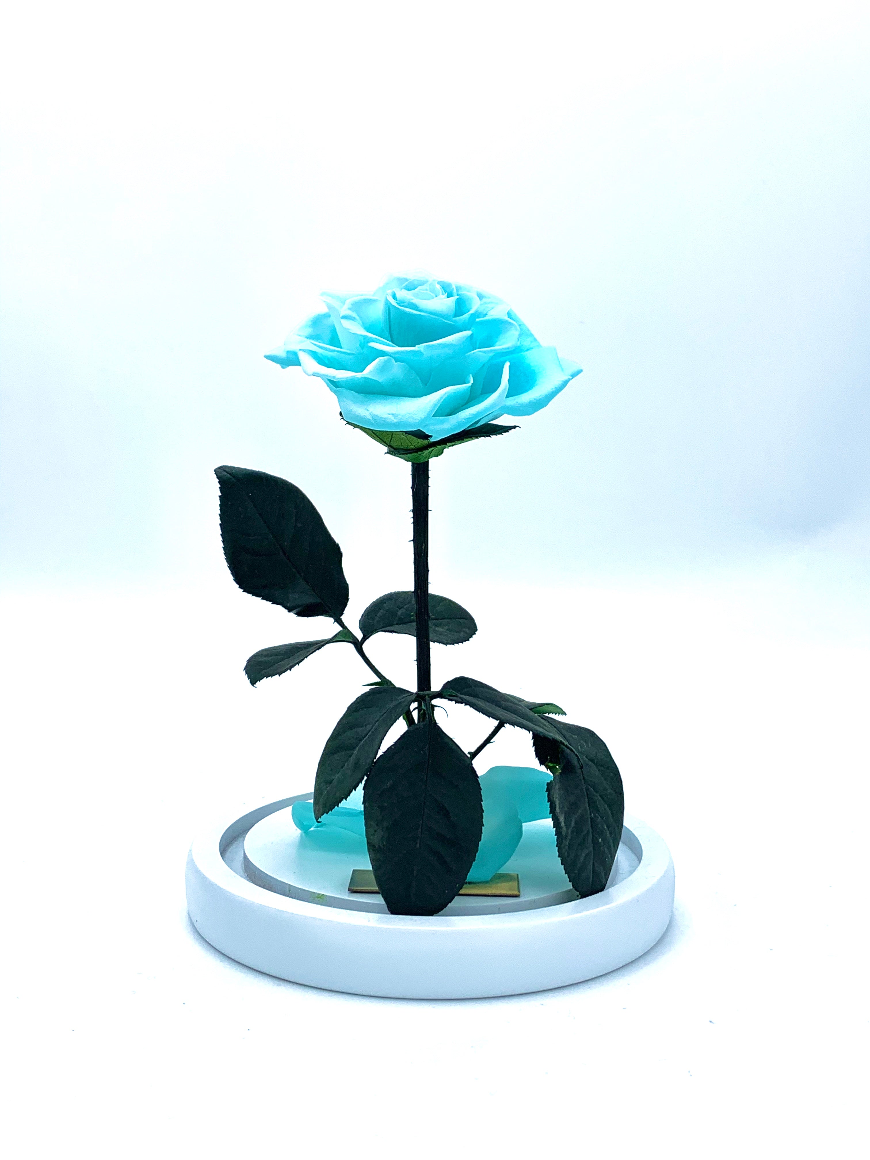 Medium Enchanted Glass Dome
