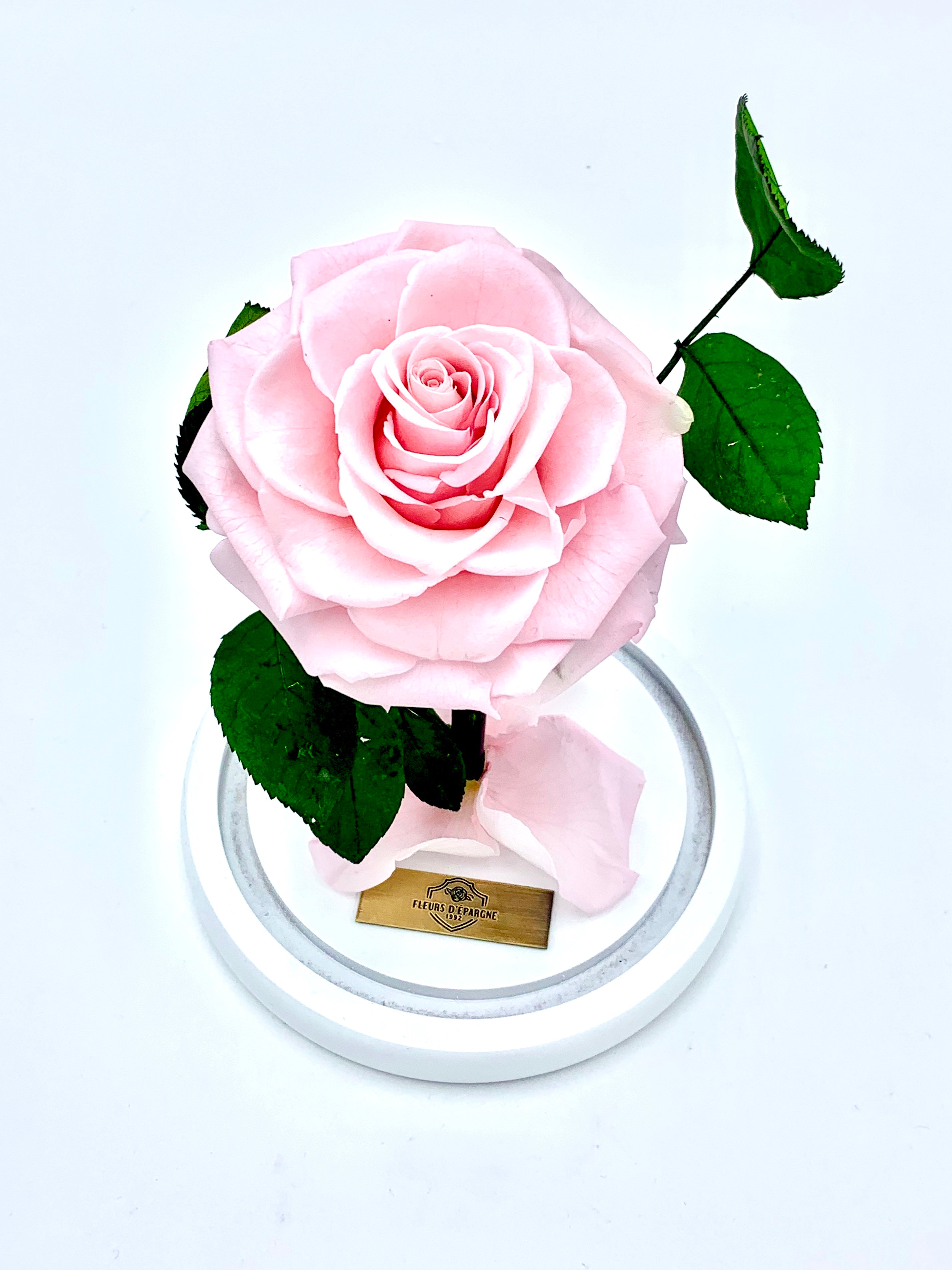Medium Enchanted Glass Dome