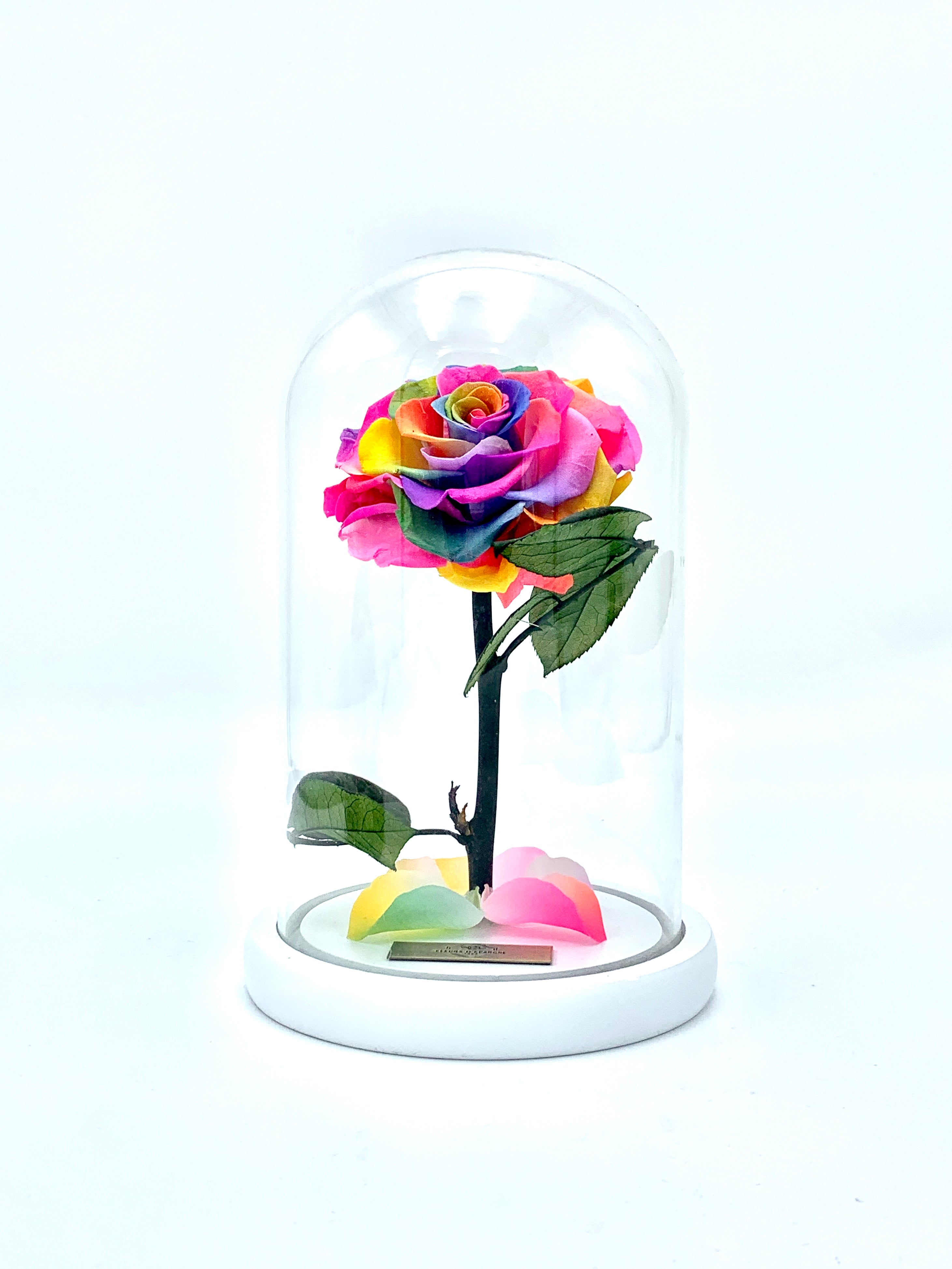 Medium Enchanted Glass Dome