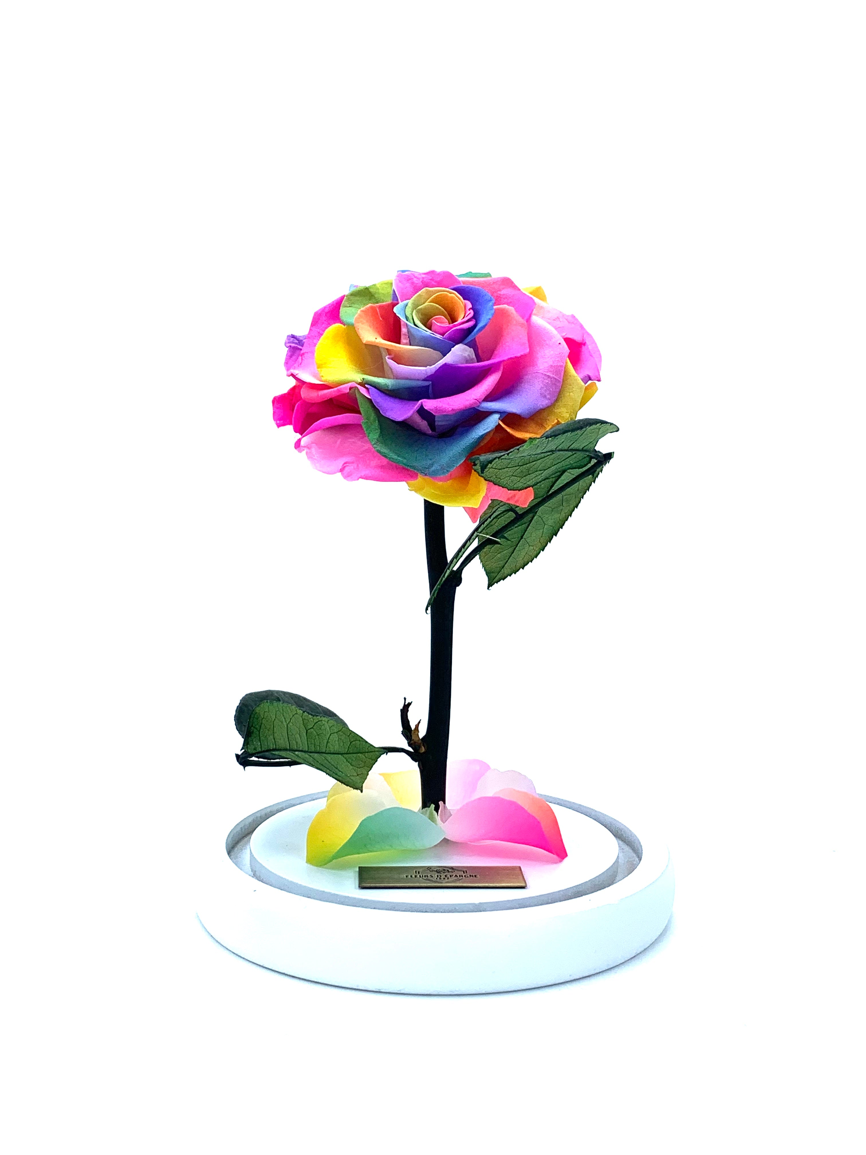 Medium Enchanted Glass Dome