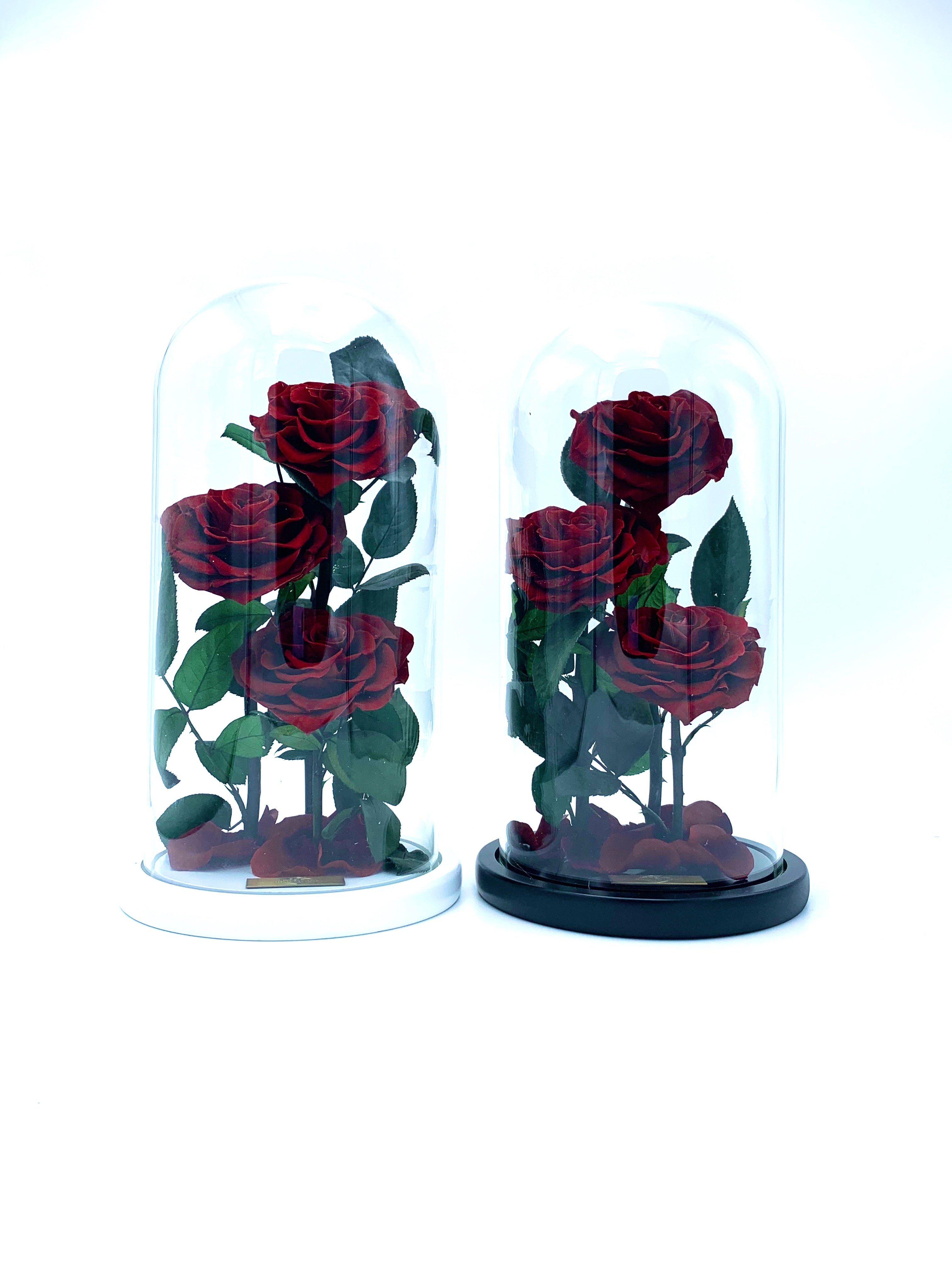 Eternity 3-in-1 Rose in Enchanted Glass Dome