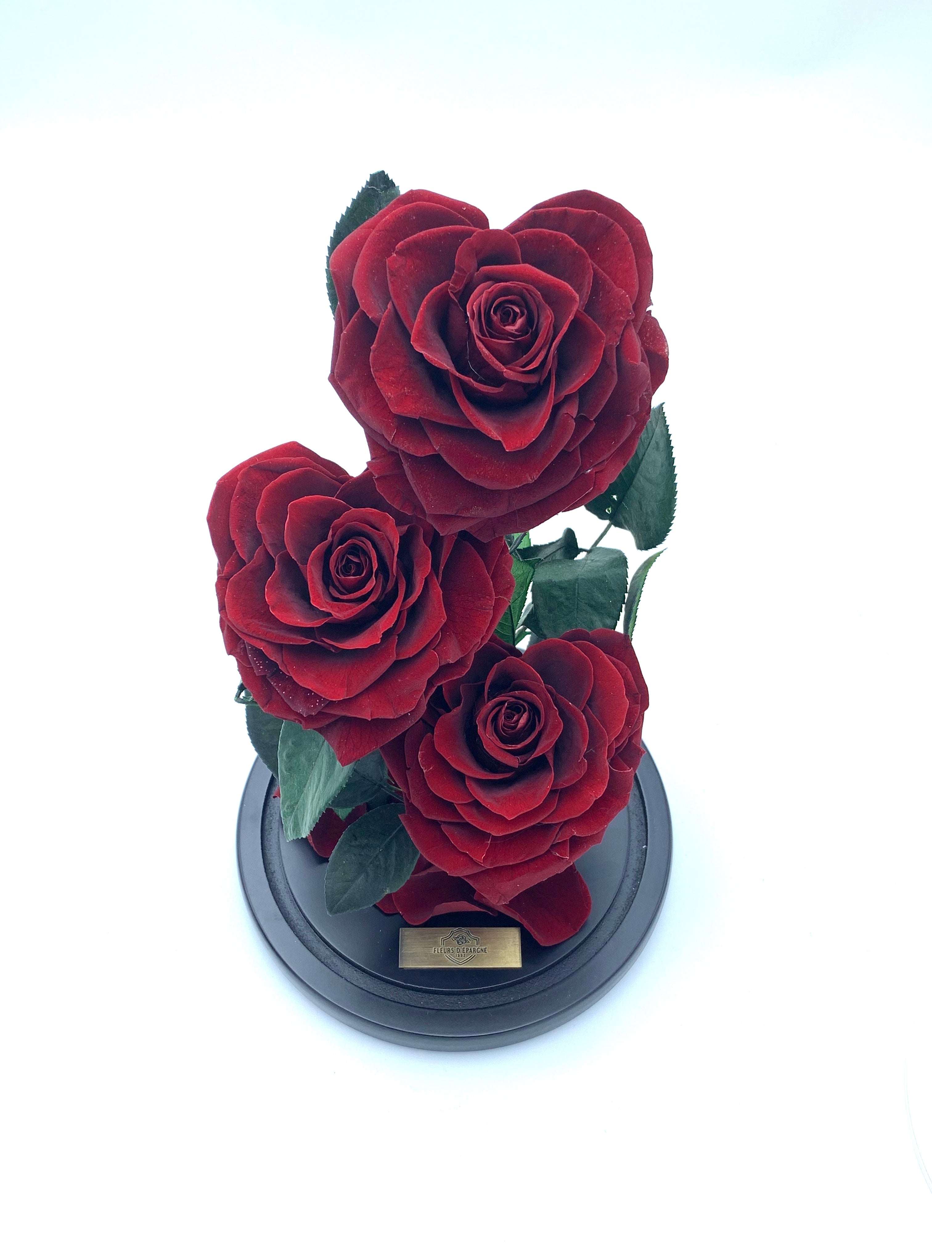 Eternity 3-in-1 Heart Rose in Enchanted Glass Dome