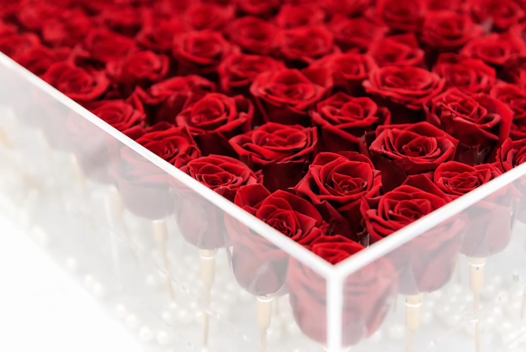 Grande Crystal Elegance with 169 roses