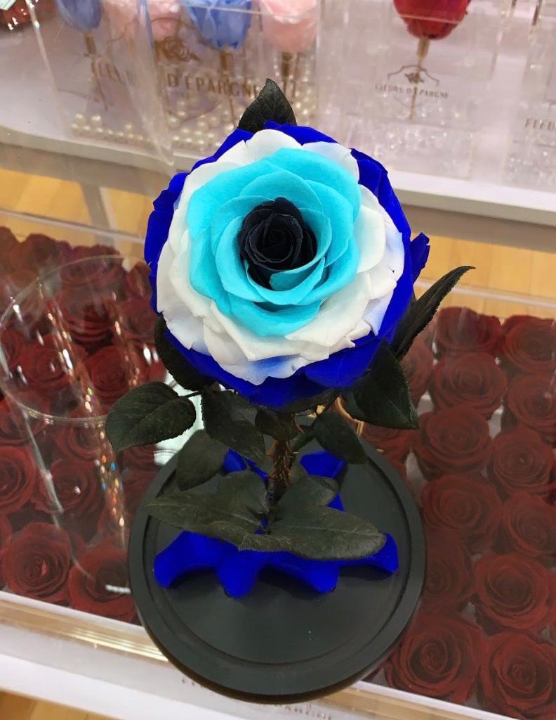 Eternity Rose in Enchanted Glass Dome