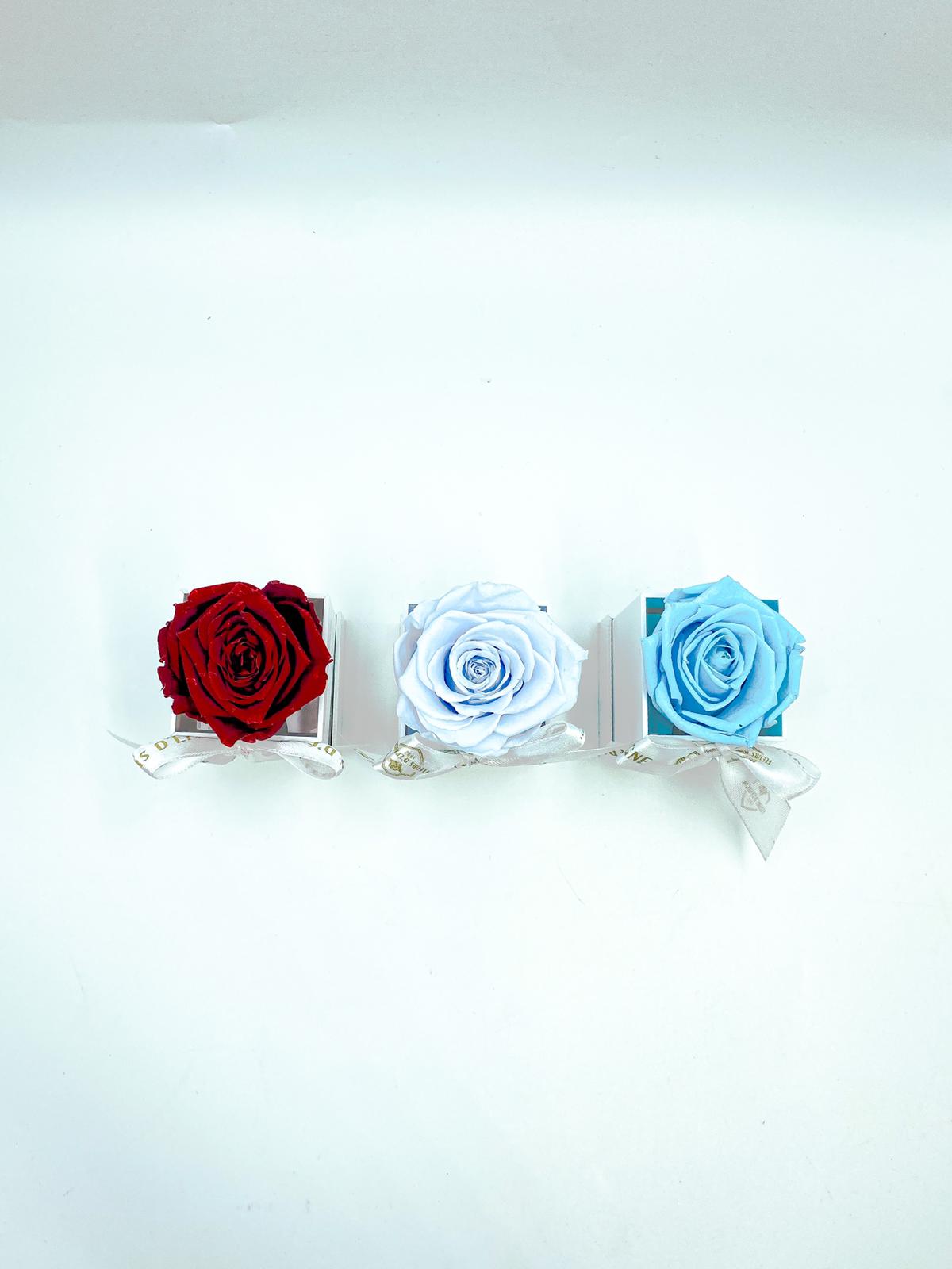 One Love in Acrylic Box