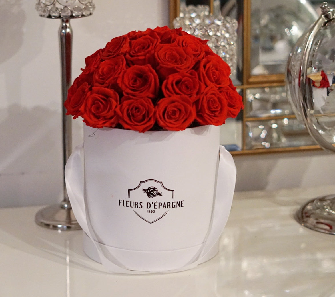 Super Dome in Classic Rose Bucket