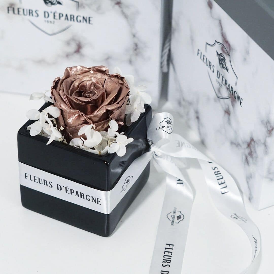 XL Single Eternal Rose in Accent Piece