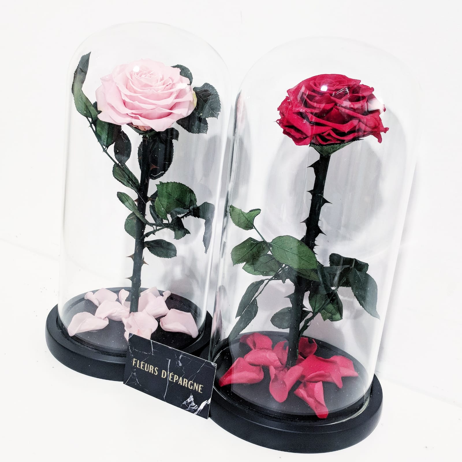 Eternity Rose in Enchanted Glass Dome