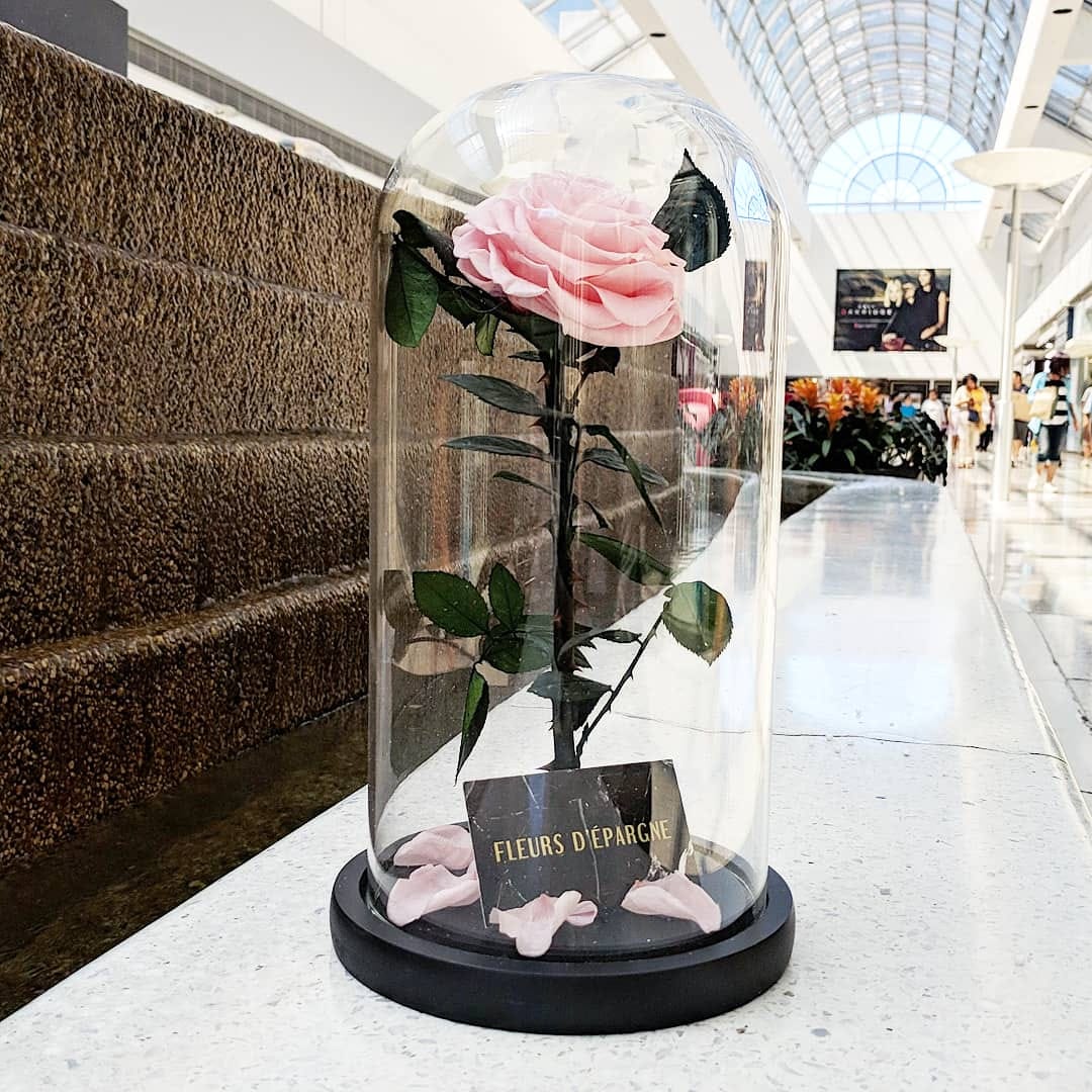 Eternity Rose in Enchanted Glass Dome