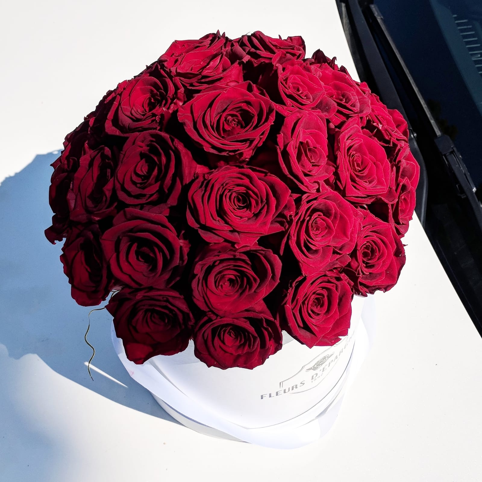 Super Dome in Classic Rose Bucket