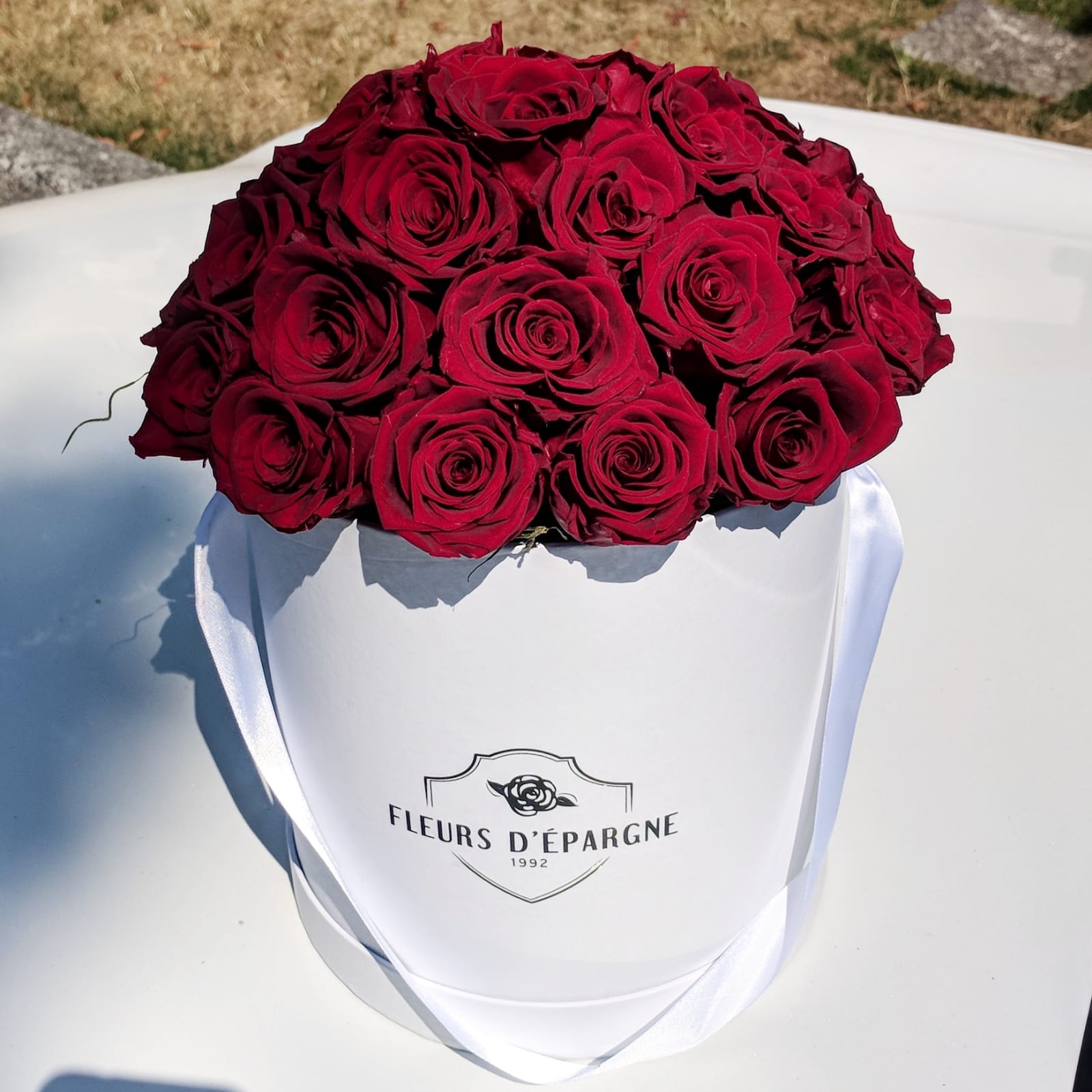 Super Dome in Classic Rose Bucket