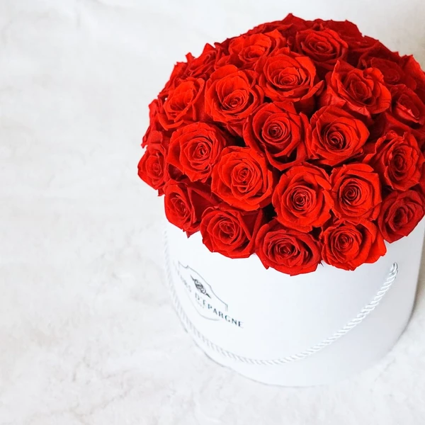 Superdome in Prestige Rose Bucket