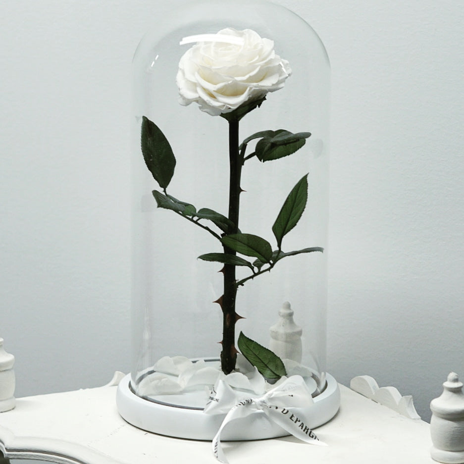 Eternity Rose in Enchanted Glass Dome