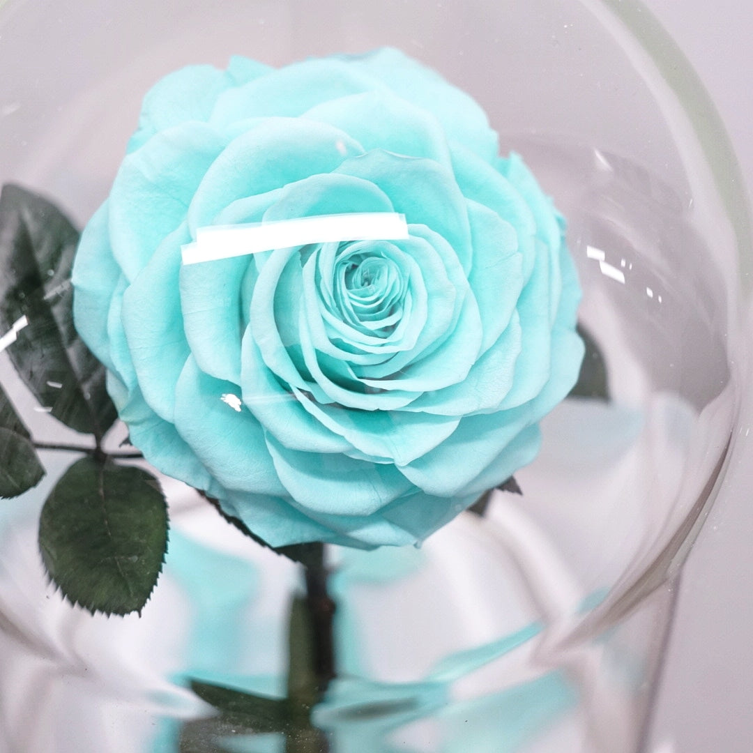 Eternity Rose in Enchanted Glass Dome