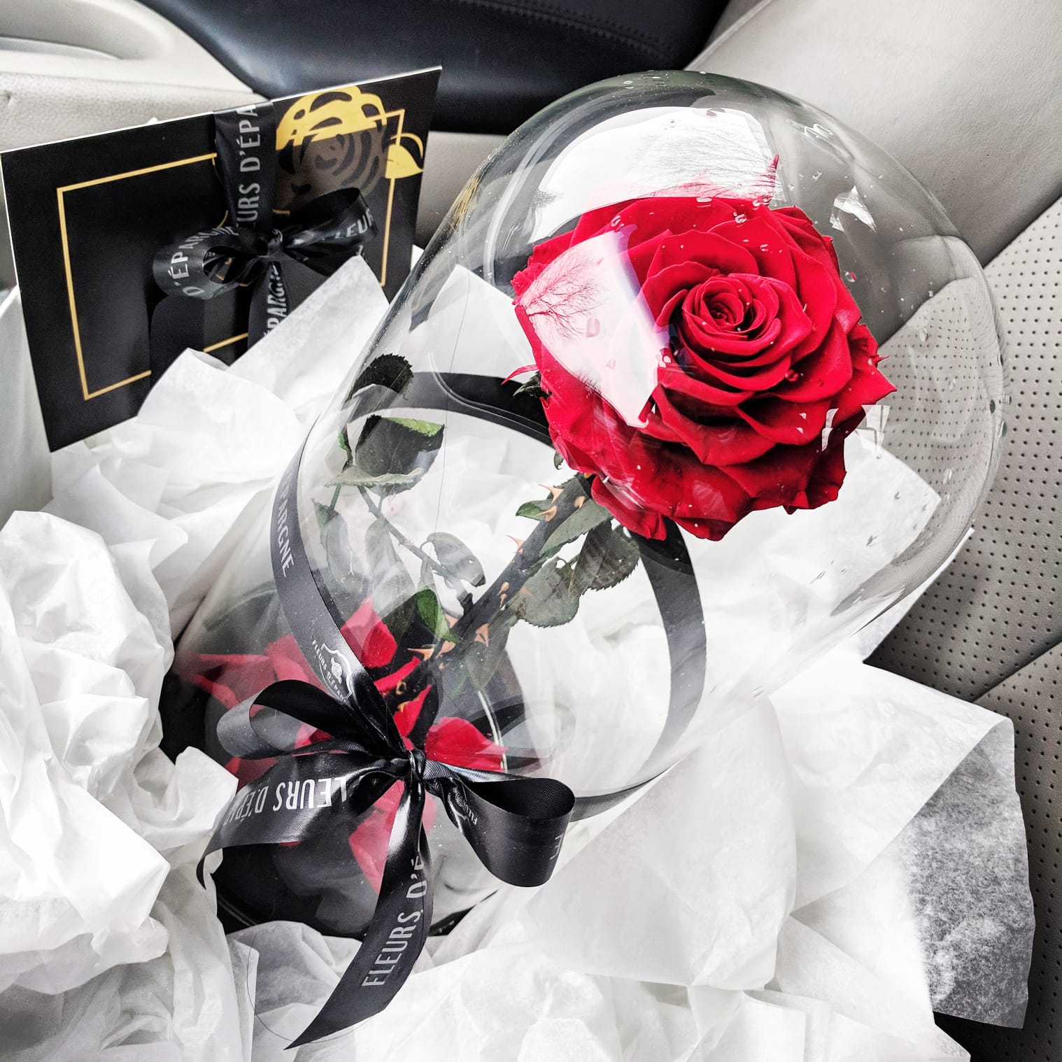 Eternity Rose in Enchanted Glass Dome