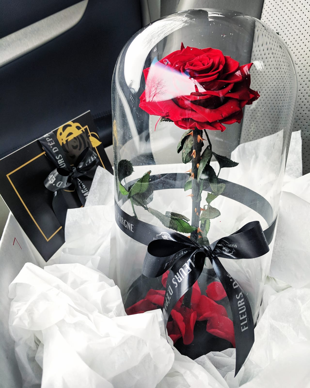 Eternity Rose in Enchanted Glass Dome