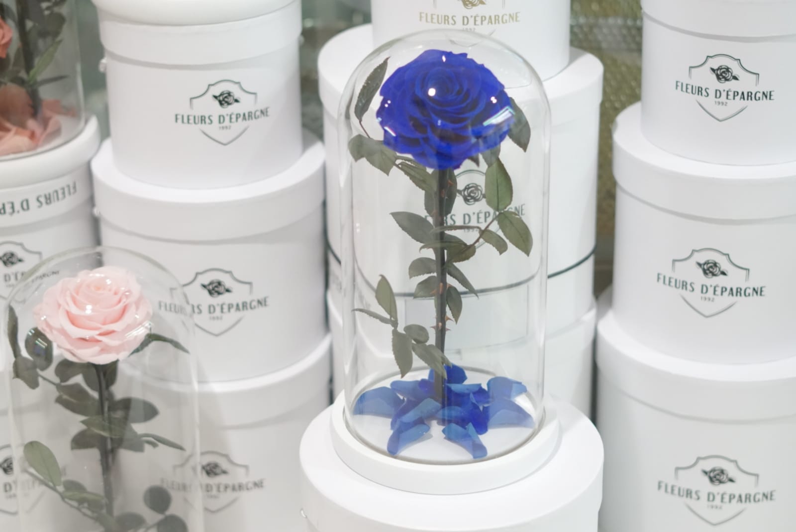 Eternity Rose in Enchanted Glass Dome