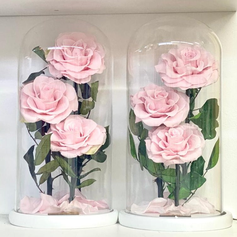Eternity 3-in-1 Rose in Enchanted Glass Dome