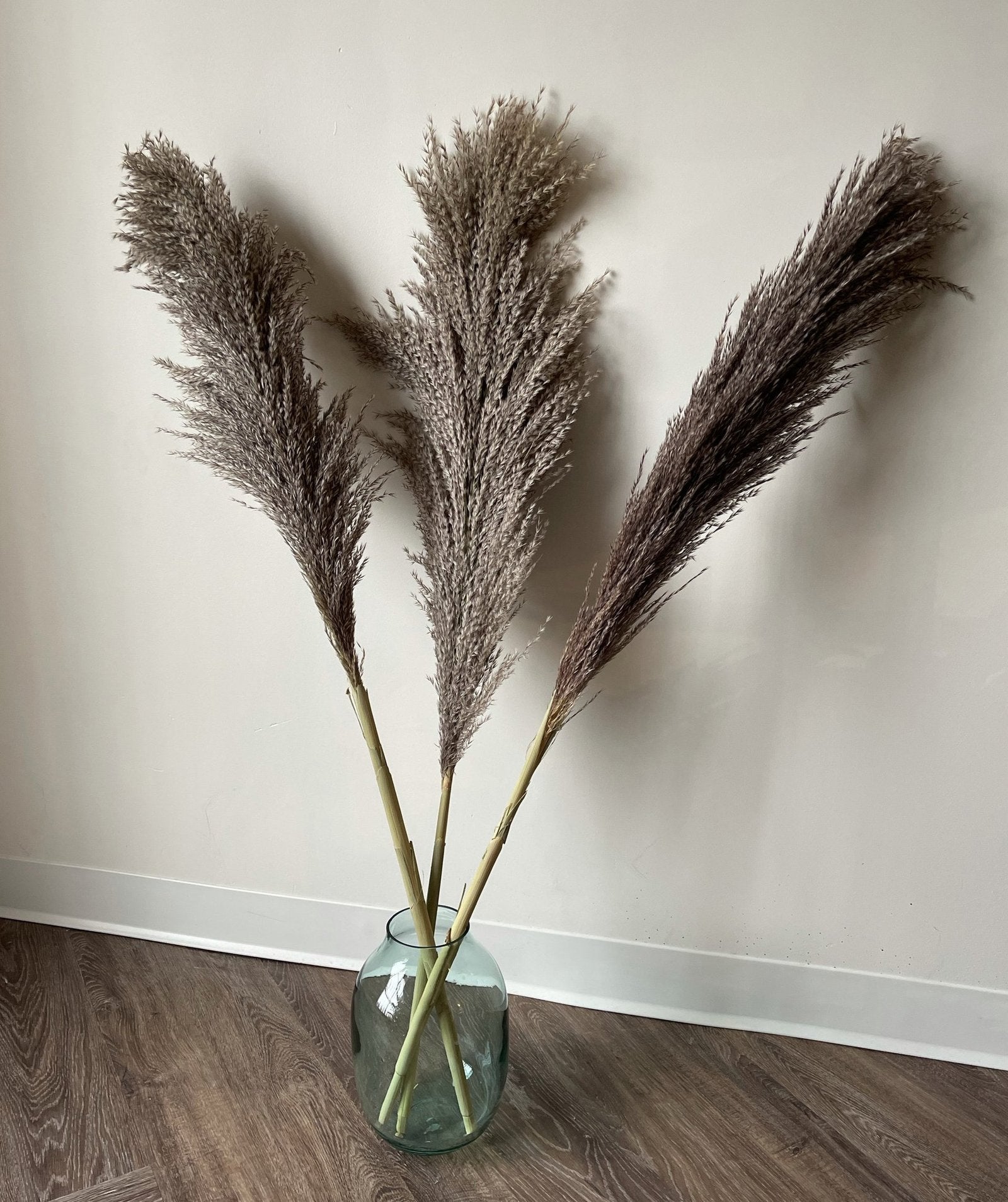 Pampas Grass - Wilde