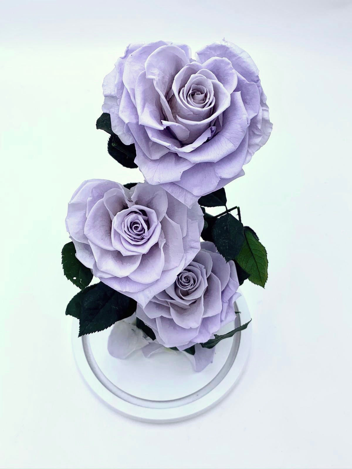 Eternity 3-in-1 Heart Rose in Enchanted Glass Dome