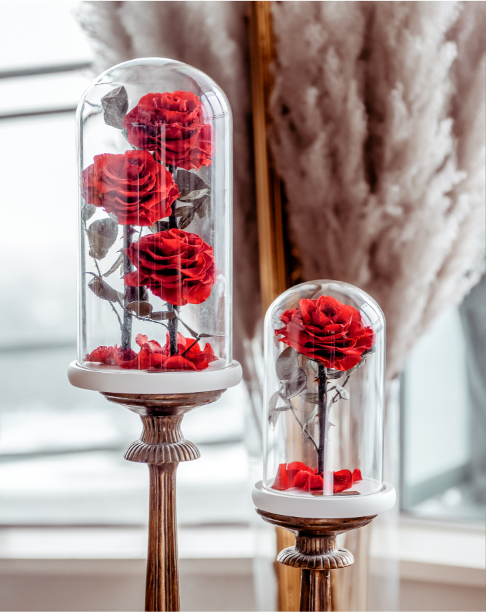 Eternity 3-in-1 Rose in Enchanted Glass Dome