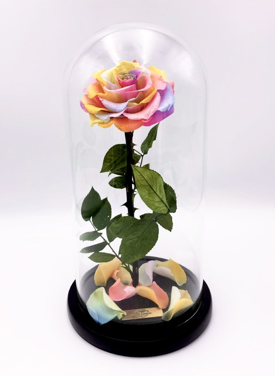 Eternity Rose in Enchanted Glass Dome
