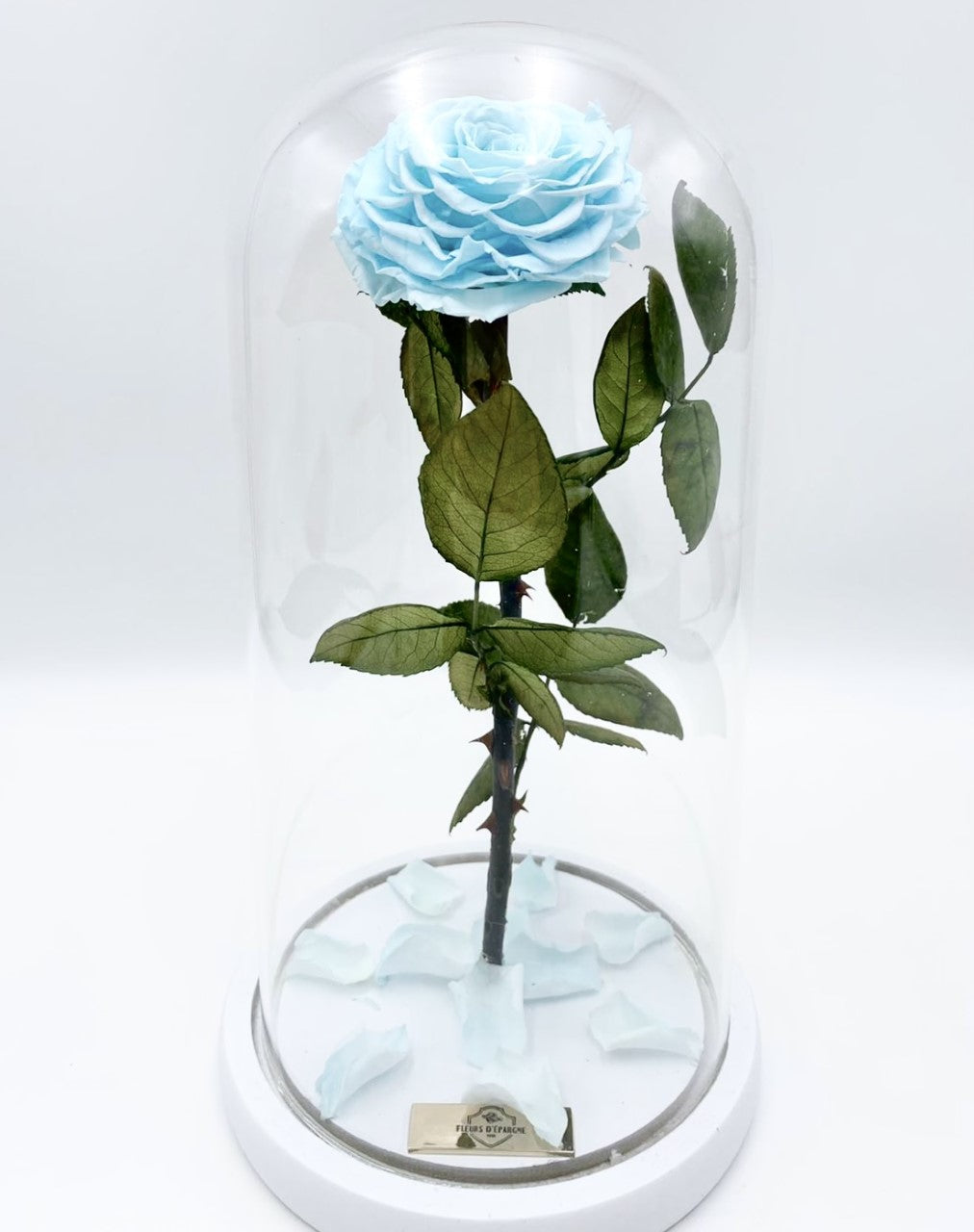 Eternity Rose in Enchanted Glass Dome