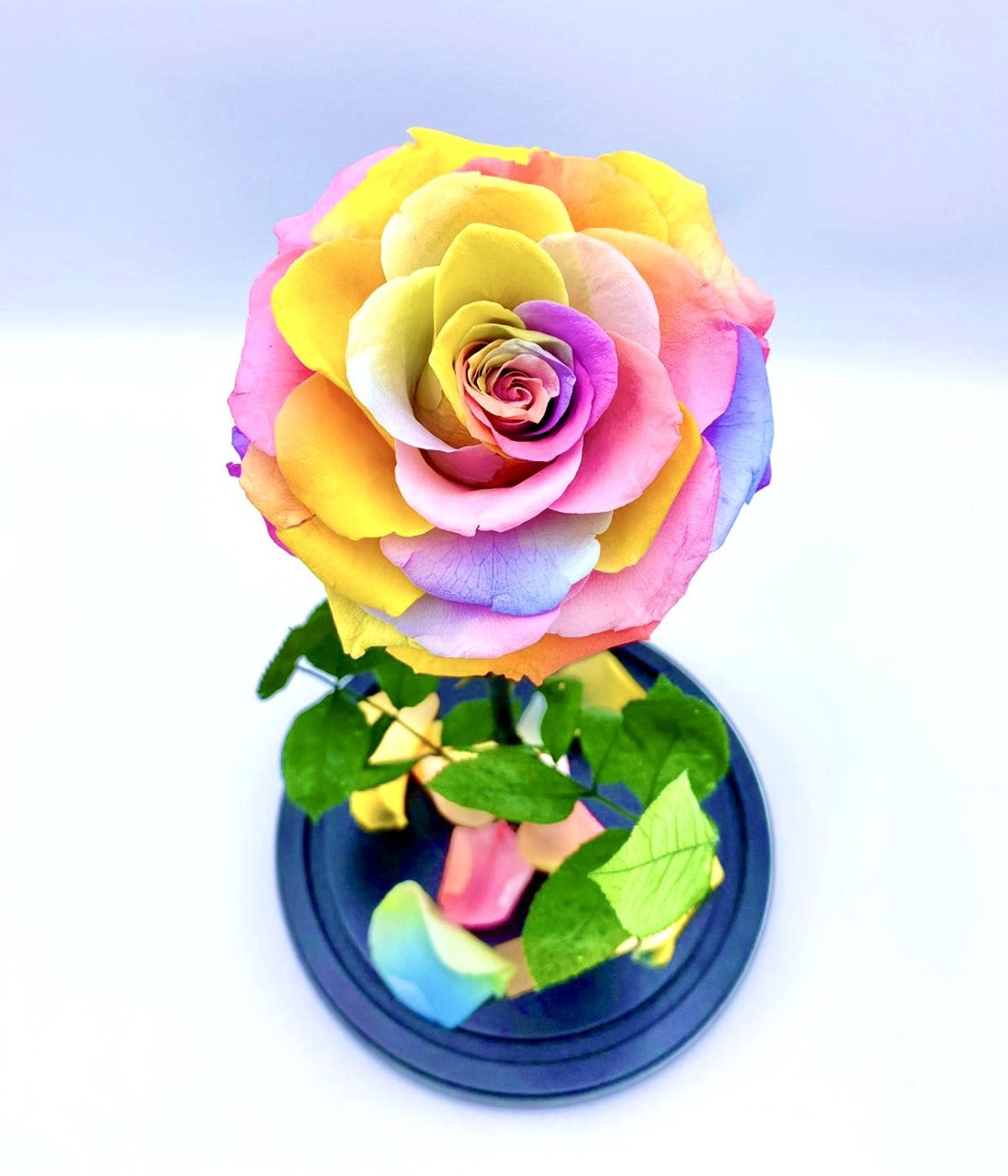 Eternity Rose in Enchanted Glass Dome