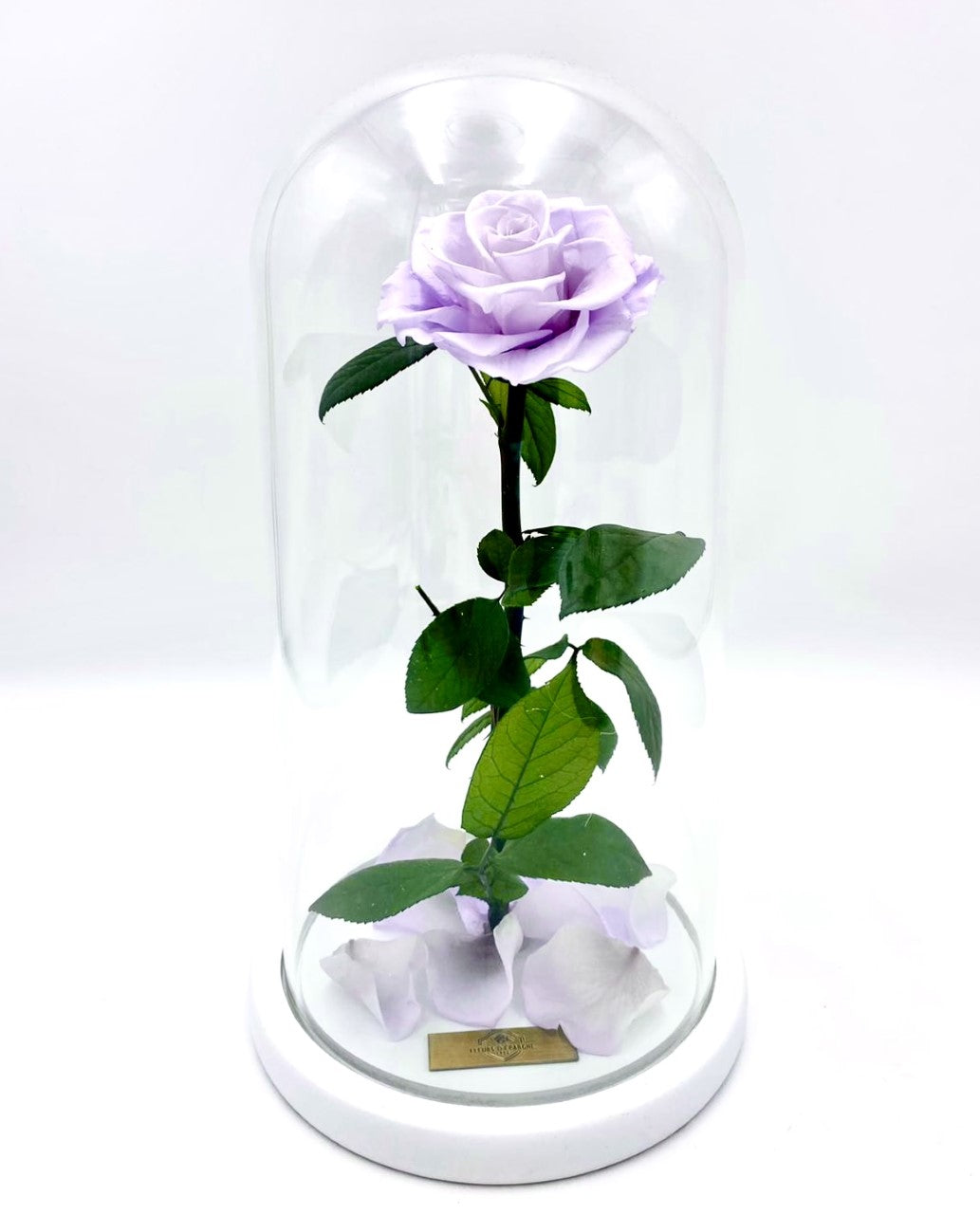Eternity Rose in Enchanted Glass Dome