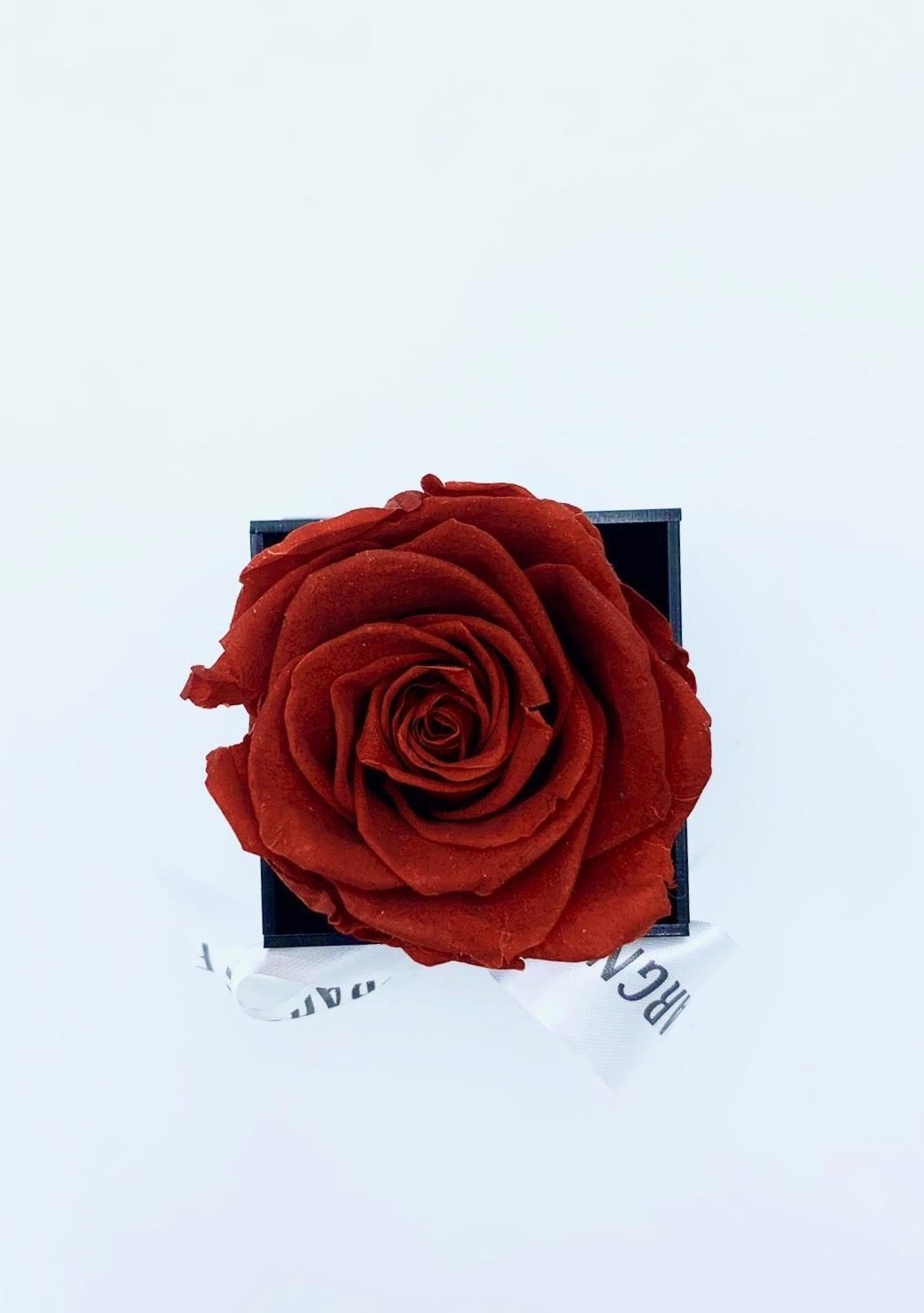 One Love in Acrylic Box