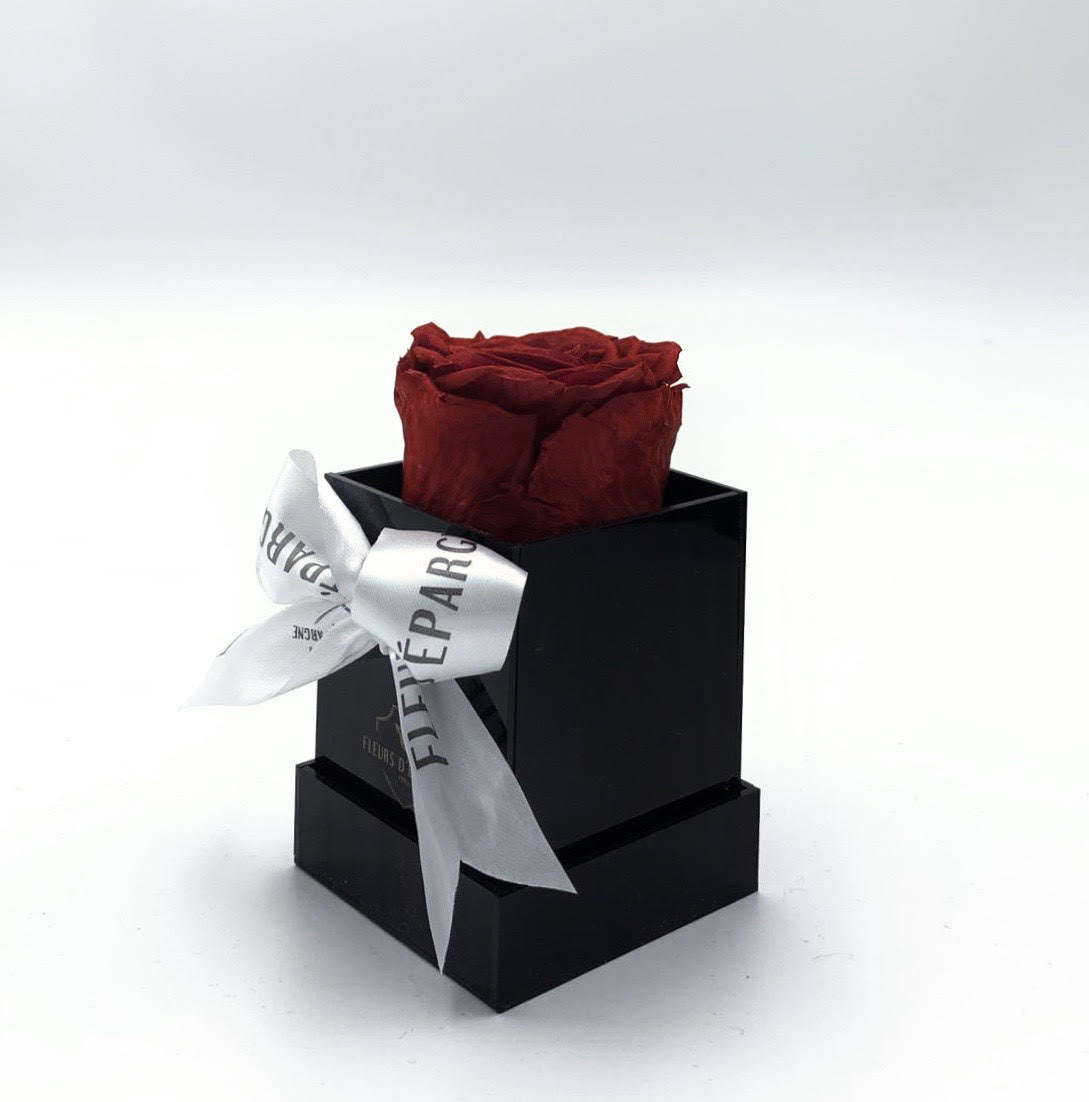 One Love in Acrylic Box